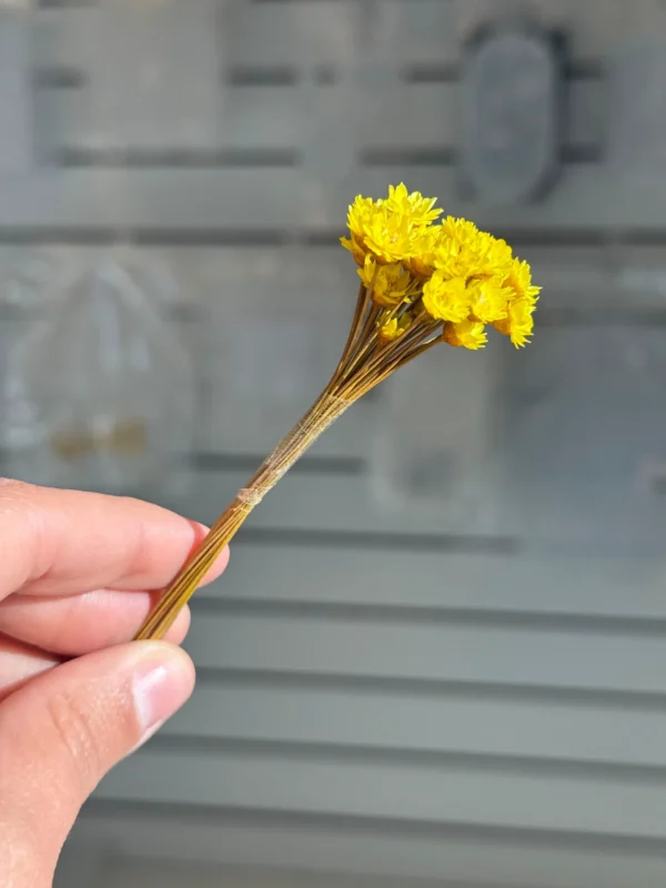 Flores Secas Diamantinas para Resina Epoxi AMARILLA - Ramo de flores 30 unidades
