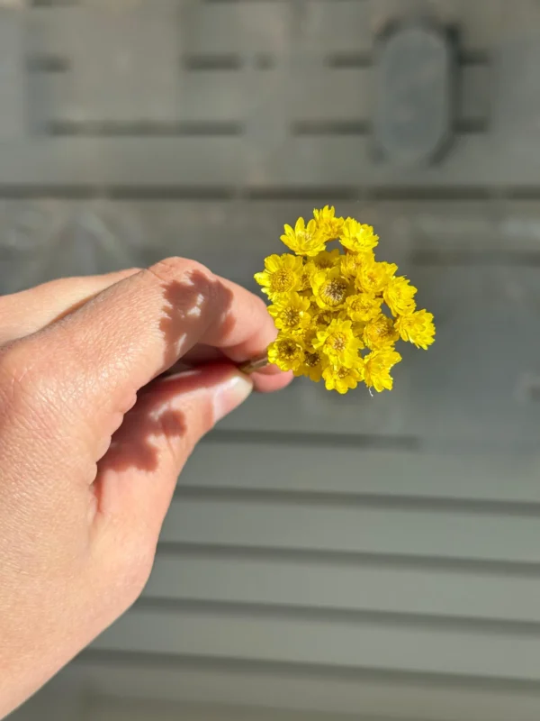 Flores Secas Diamantinas para Resina Epoxi AMARILLA - Ramo de flores 30 unidades
