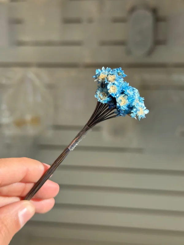 Flores Secas Diamantinas para Resina Epoxi AZUL - Ramo de flores 30 unidades