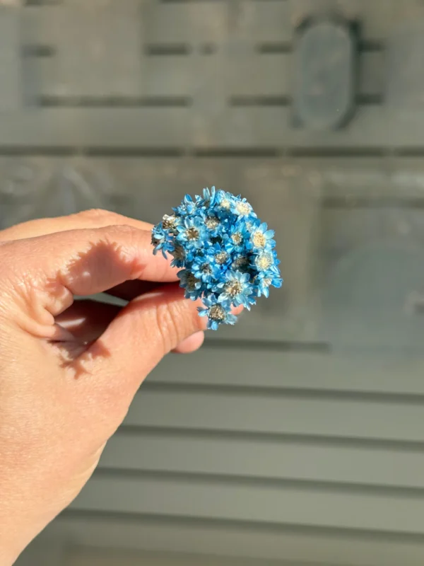Flores Secas Diamantinas para Resina Epoxi AZUL - Ramo de flores 30 unidades