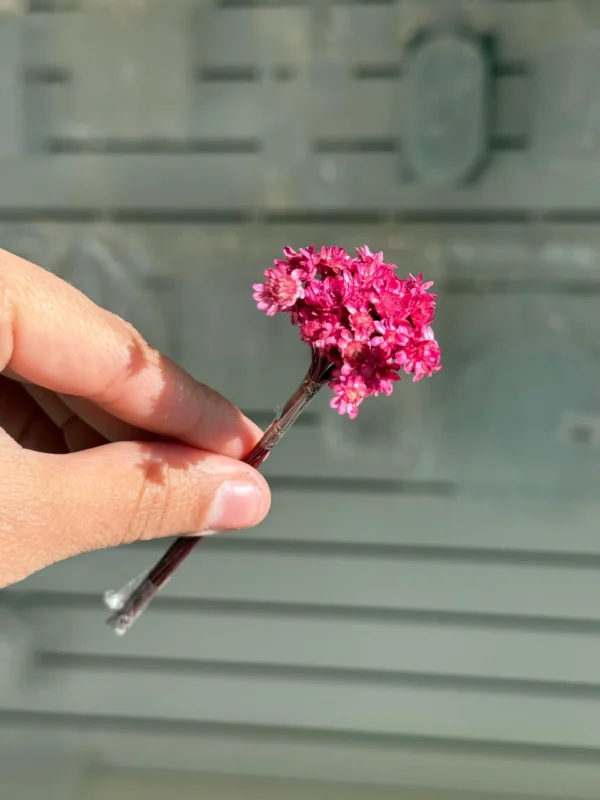 Flores Secas Diamantinas para Resina Epoxi BORDO - Ramo de flores 30 unidades