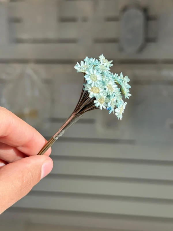 Flores Secas Diamantinas para Resina Epoxi CELESTE - Ramo de flores 30 unidades