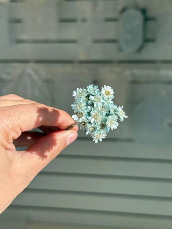 Flores Secas Diamantinas para Resina Epoxi CELESTE - Ramo de flores 30 unidades