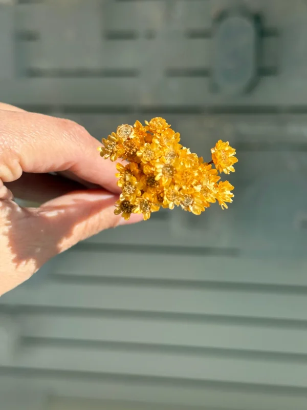 Flores Secas Diamantinas para Resina Epoxi NARANJAS - Ramo de flores 30 unidades