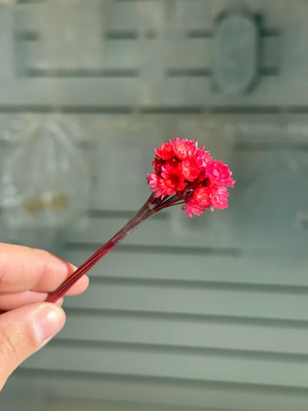 Flores Secas Diamantinas para Resina Epoxi ROJO - Ramo de flores 30 unidades