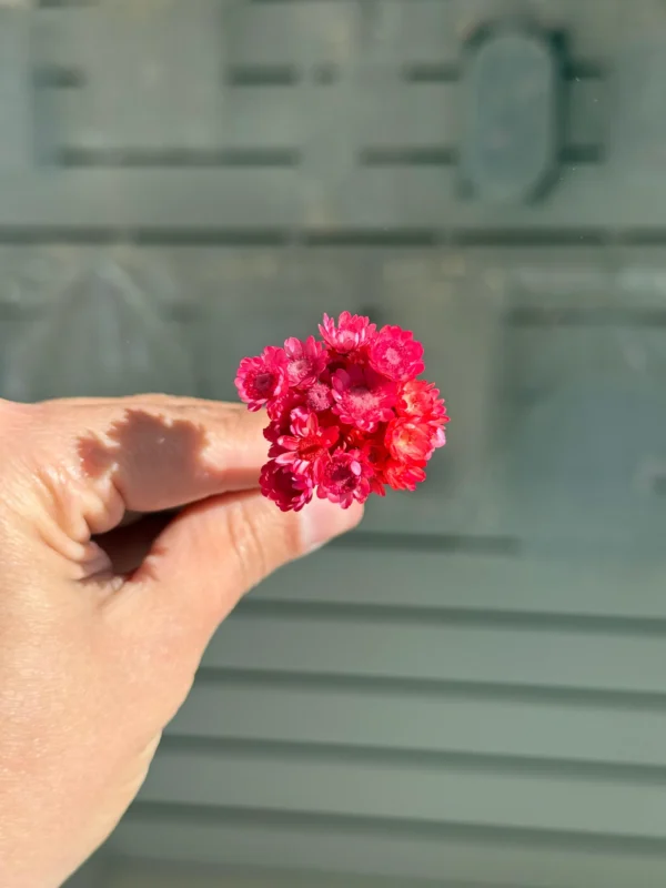 Flores Secas Diamantinas para Resina Epoxi ROJO - Ramo de flores 30 unidades