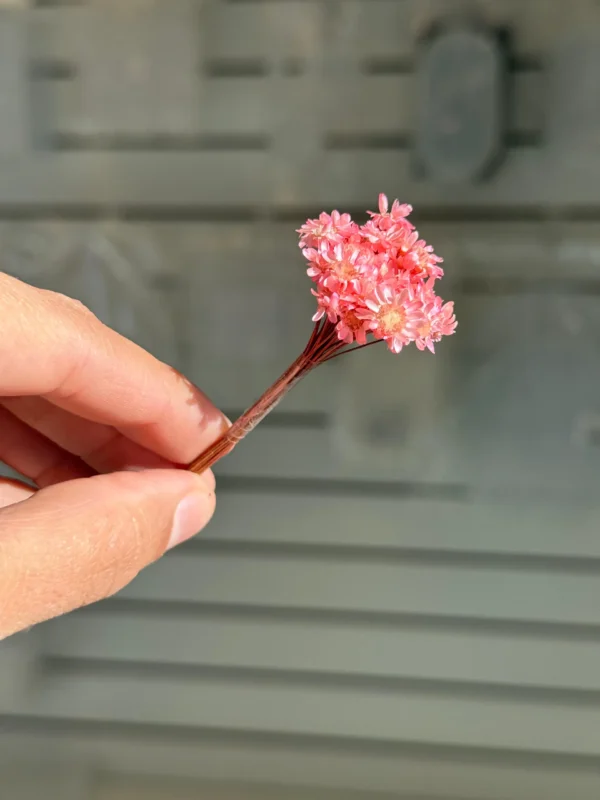 Flores Secas Diamantinas para Resina Epoxi ROSA - Ramo de flores 30 unidades