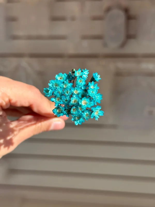 Flores Secas Diamantinas para Resina Epoxi TURQUEZA - Ramo de flores 30 unidades
