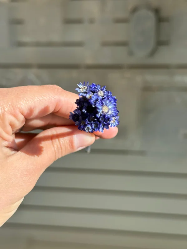 Flores-secas-para-resina-violeta1 Flores Secas Diamantinas para Resina Epoxi VIOLETA - Ramo de flores 30 unidades