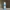Pigmento Líquido de 10ml AZUL